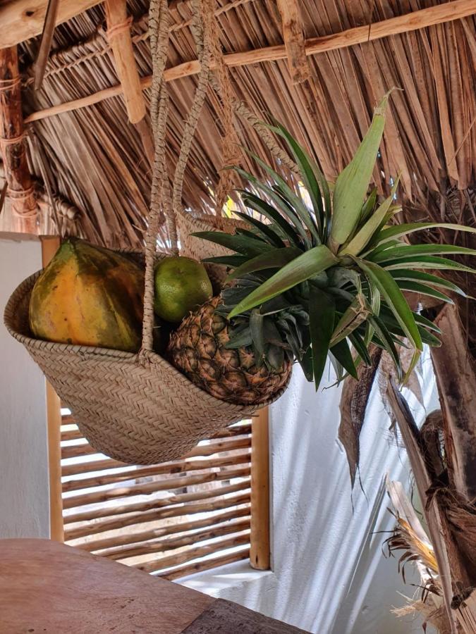 Mlango Paje Villa エクステリア 写真